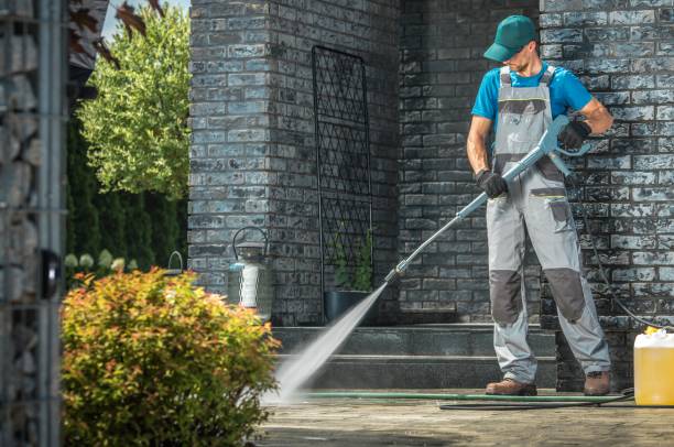 Best Roof Cleaning and Mildew Removal in Wilsonville, OR